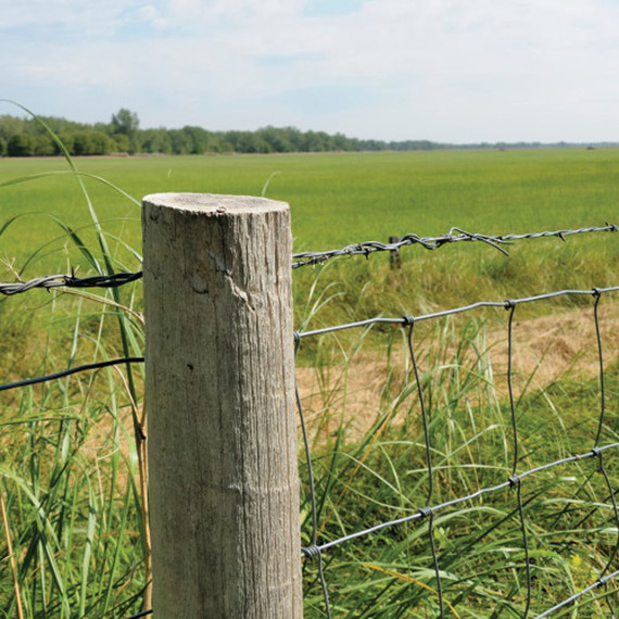 Hillman Galvanized Mechanics and Stovepipe Wire