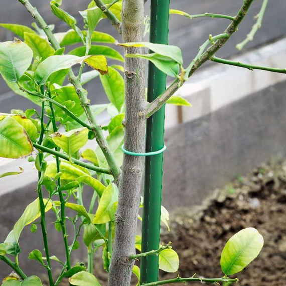 Bond Heavy Duty Super Steel Stake - 7'