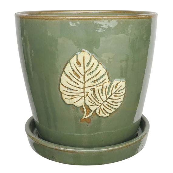 Border Concepts Palm Napoli Pot