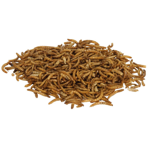 Zilla Reptile Munchies Mealworms - 3.75 Oz
