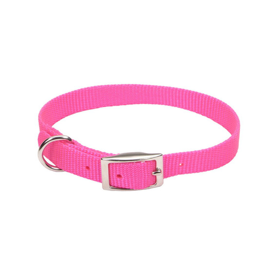 Coastal Pet Neon Pink Nylon Single-ply Dog Collar - 5/8" X 14"