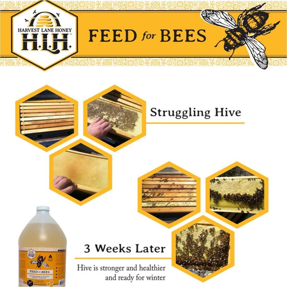 Harvest Lane Honey Liquid Bee Feed With Essential Oils - 1 Gal