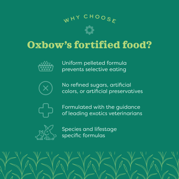Oxbow Essentials Adult Rat Food - 3 lb