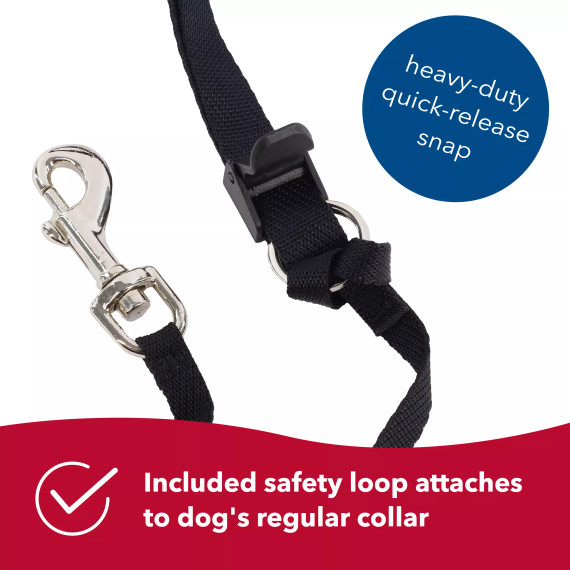 Coastal Pet Black Walk 'n Train Dog Head Halter - Large