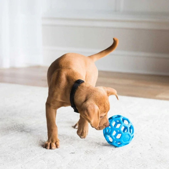 JW Pet Assorted Colors Hol-ee Roller Puppy Toy - Medium