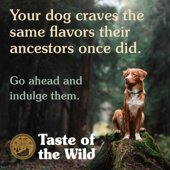 Taste of the Wild High Prairie Canine Recipe with Bison in Gravy Grain-free Wet Dog Food - 13.2 oz
