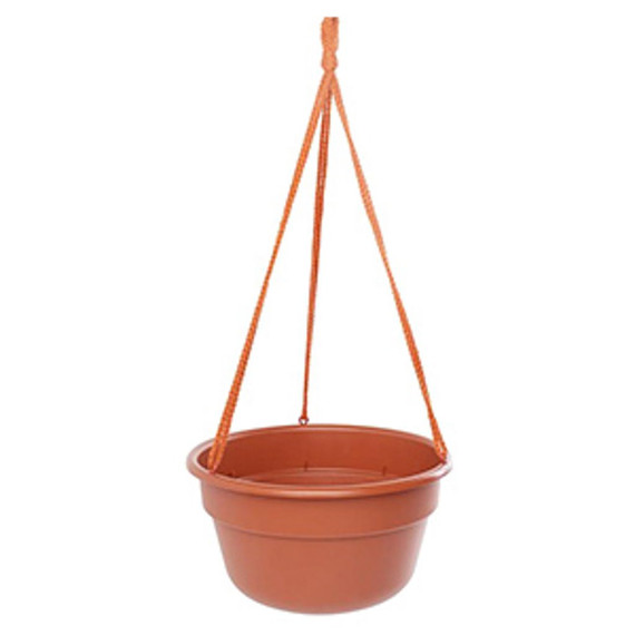 Bloem Terra Cotta Dura Cotta Hanging Basket - 12"