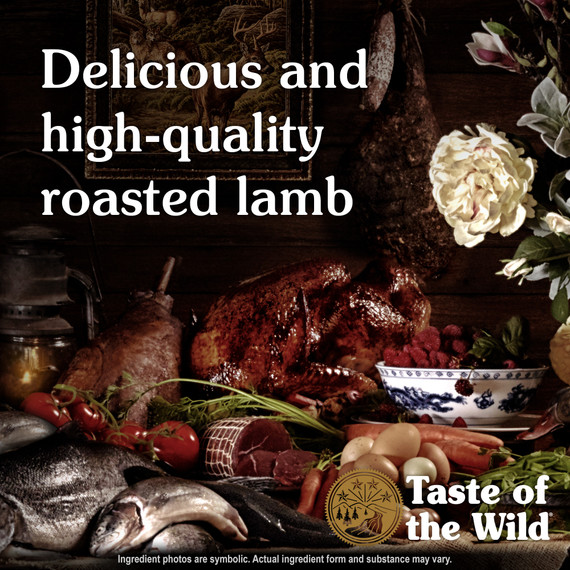 Taste of the Wild Sierra Mountain Canine Recipe with Roasted Lamb Grain-free Dry Dog Food - 5 lb