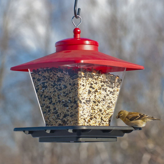 Audubon Hopper Cafe Bird Feeder - 7 Lb