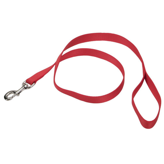 Coastal Pet Red Single-ply Nylon Leash - 1" X 6'