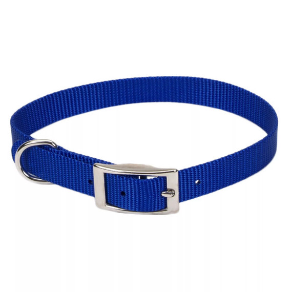 Coastal Pet Nylon Single-ply Dog Collar