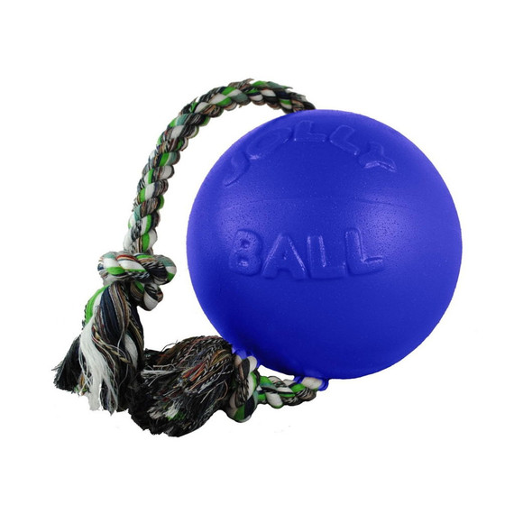 Jolly Pets Romp-n-roll Blue Ball Dog Toy - Blue - 8"