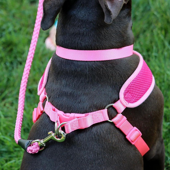 Coastal Pet Pink Bright Comfort Soft Wrap Adjustable Dog Harness - Large