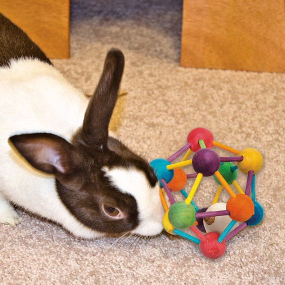 Ware Large Atomic Ball Chew Toy For Small Animal - Large