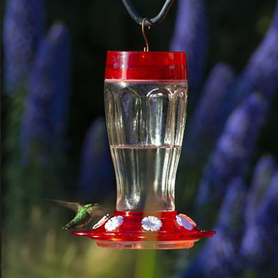 More Birds Big Gulp Hummingbird Feeder - 40 Oz