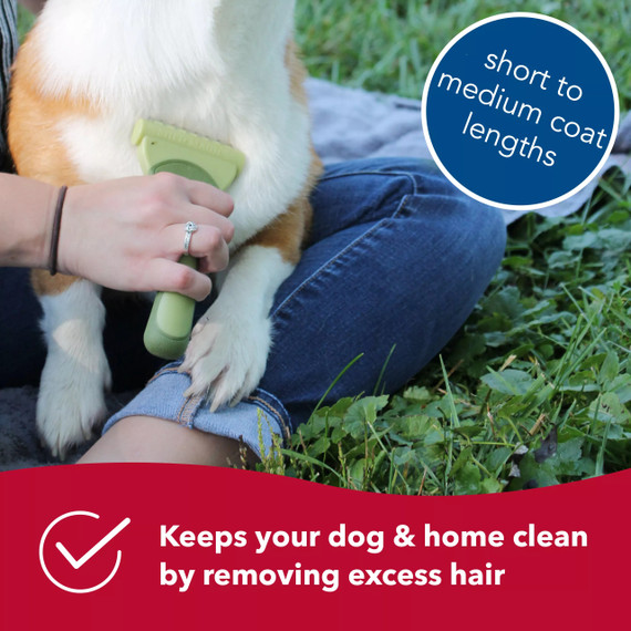 Coastal Pet Safari Shed Magic De-Shedding Tool