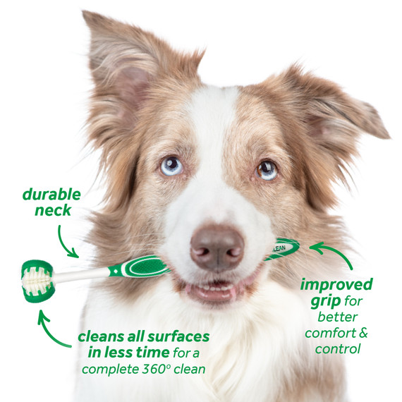 Tropiclean Triple Flex Toothbrush for Dog