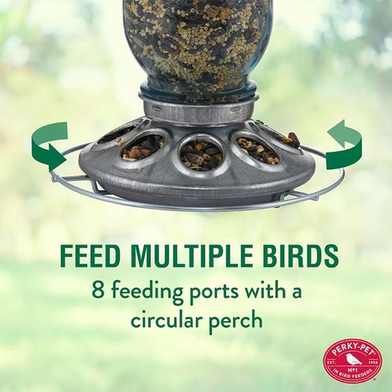 Perky-pet Mason Jar Wild Bird Seed Feeder - 1 lb