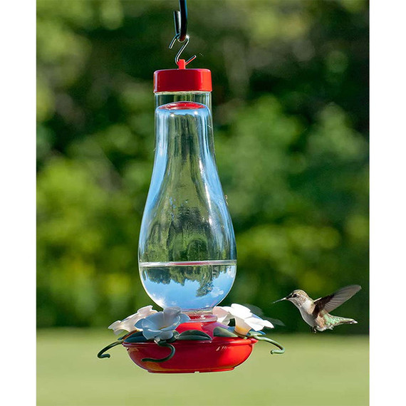 Audubon Hurricane Glass Hummingbird Feeder - 24 Oz
