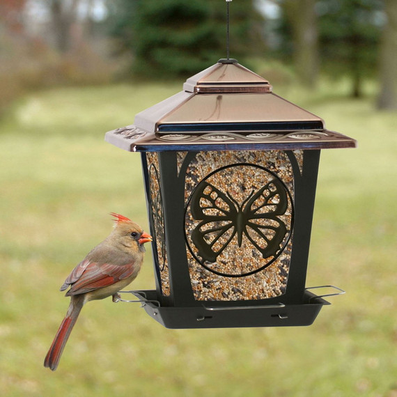 Audubon Metal Hopper Style Bird Feeder With Butterfly - 4 Lb