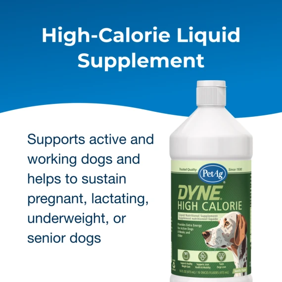 PetAg Dyne Dog & Puppy High Calorie-Liquid - 16 oz