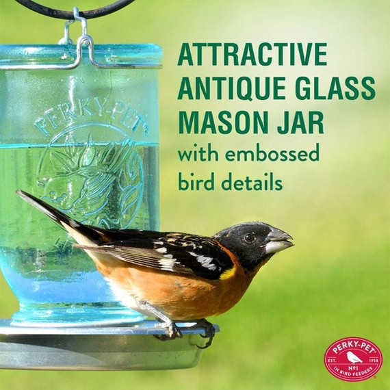 Perky-pet Mason Jar Wild Bird Waterer - 32 oz