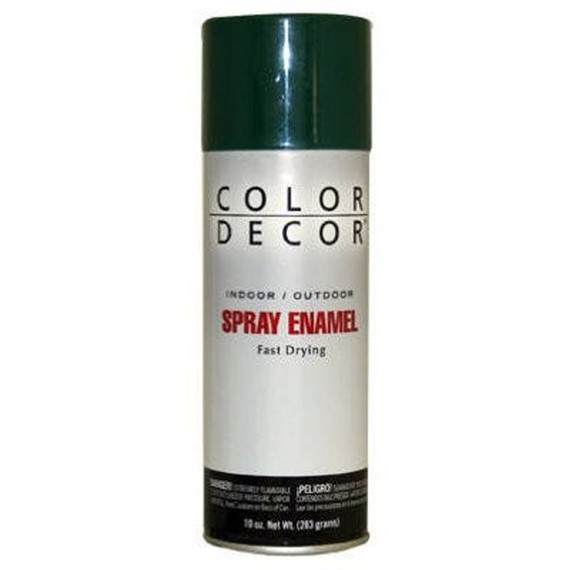 Color Decor Interior/Exterior Aerosol Spray Enamel Paint - 10 oz