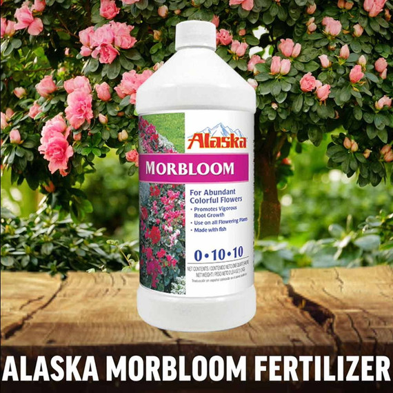 Alaska Morbloom Fertilizer - 1 Qt
