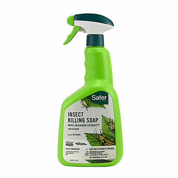 Safer Brand Rtu Insect Killing Soap with Seaweed Extract - 32 oz