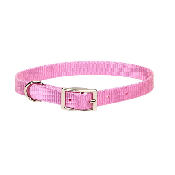 Coastal Pet Bright Single-ply Dog Collar - 5/8" X 14" - Pink