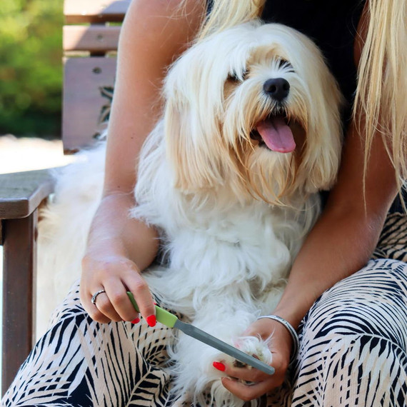 Coastal Pet Safari Dog Nail File - 7" X 5/8"