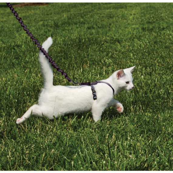 Petsafe Come With Me Kitty Black Cat Harness & Bungee Leash - Small