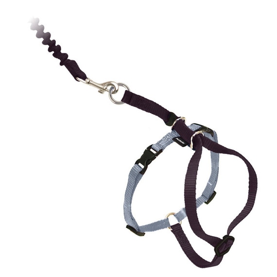 Petsafe Come With Me Kitty Black Cat Harness & Bungee Leash