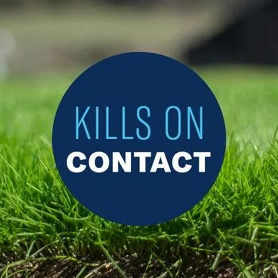 Bioadvanced All-in-one Lawn Weed & Crabgrass Killer I - 32 fl oz