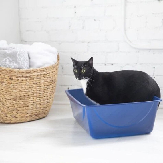 Petmate Basic Litter Box Assorted - Large