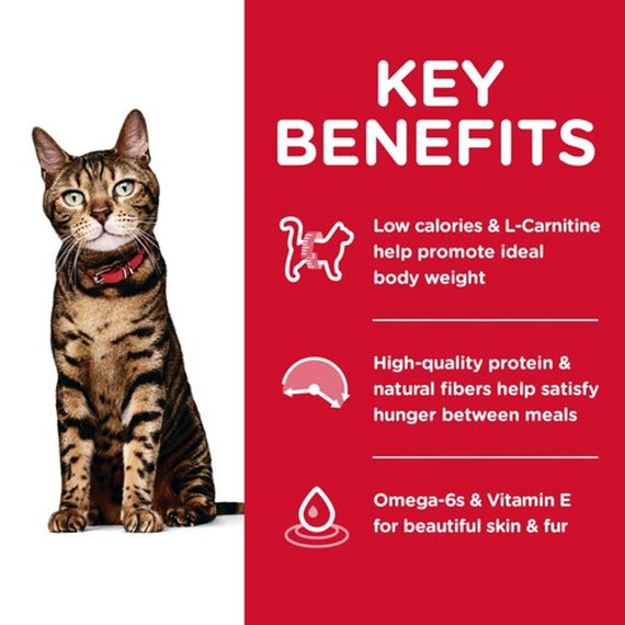Hill's Science Diet Adult Light Cat Food - 4 lb