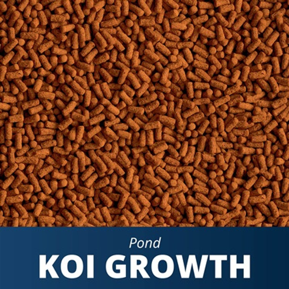 Tetra Pond Koi Growth High Protein Food - 9.52 oz