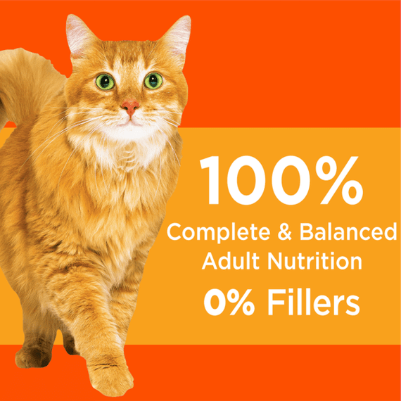 Iams Proactive Health Healthy Adult with Chicken Dry Adult Cat Food - 7 lb