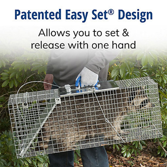 Havahart Large 1-Door Easy Set Animal Trap - 32" X 10" X 12"