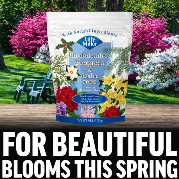 Lilly Miller 10-5-4 Rhododendron Evergreen & Azalea Food - 4 lb