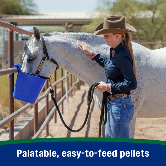 Farnam Horseshoer's Secret Pelleted Hoof Supplement - 11 lb