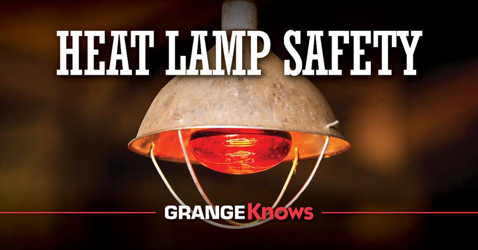 Heat Lamp Safety Grange Coop