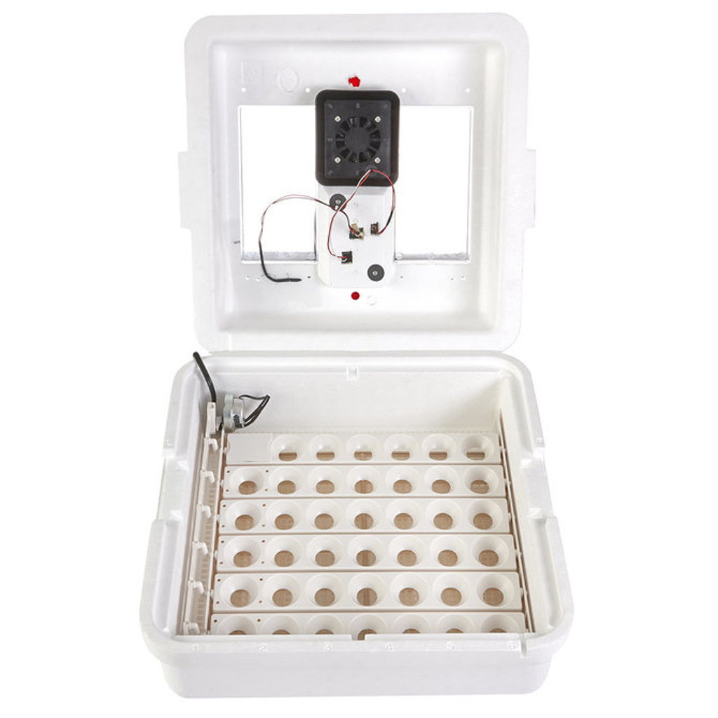 Little Giant Deluxe Incubator with Egg Turner - White