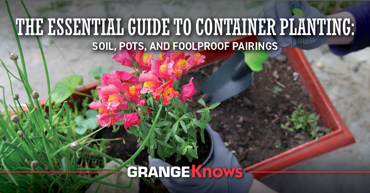 Container Mass Planting The Essential Guide to Container Planting: Soil, Pots, and Foolproof ...