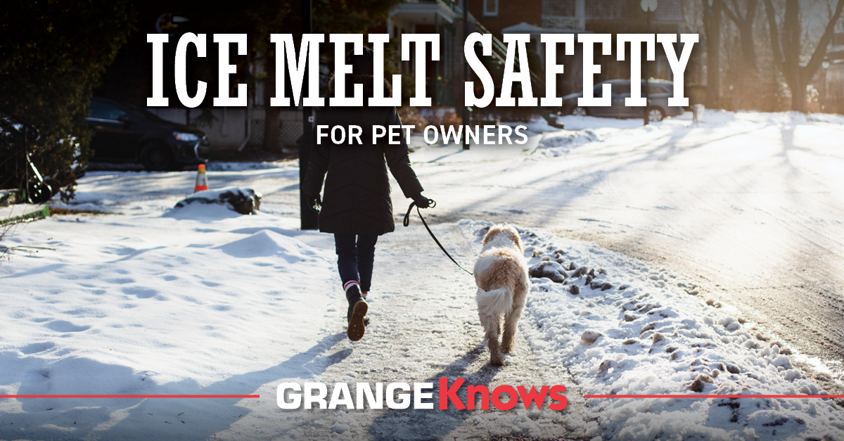 Ice Melt Safety for Pet Owners Grange Coop