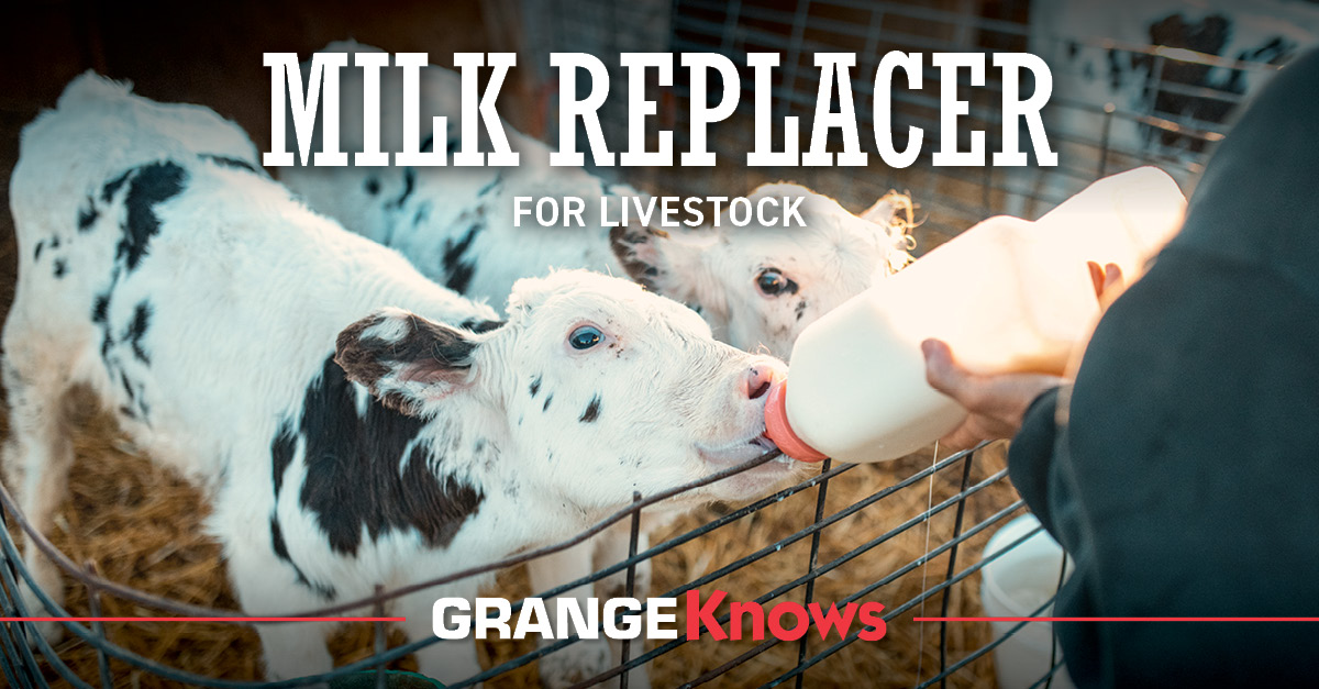 Milk Replacer for Livestock Grange Coop