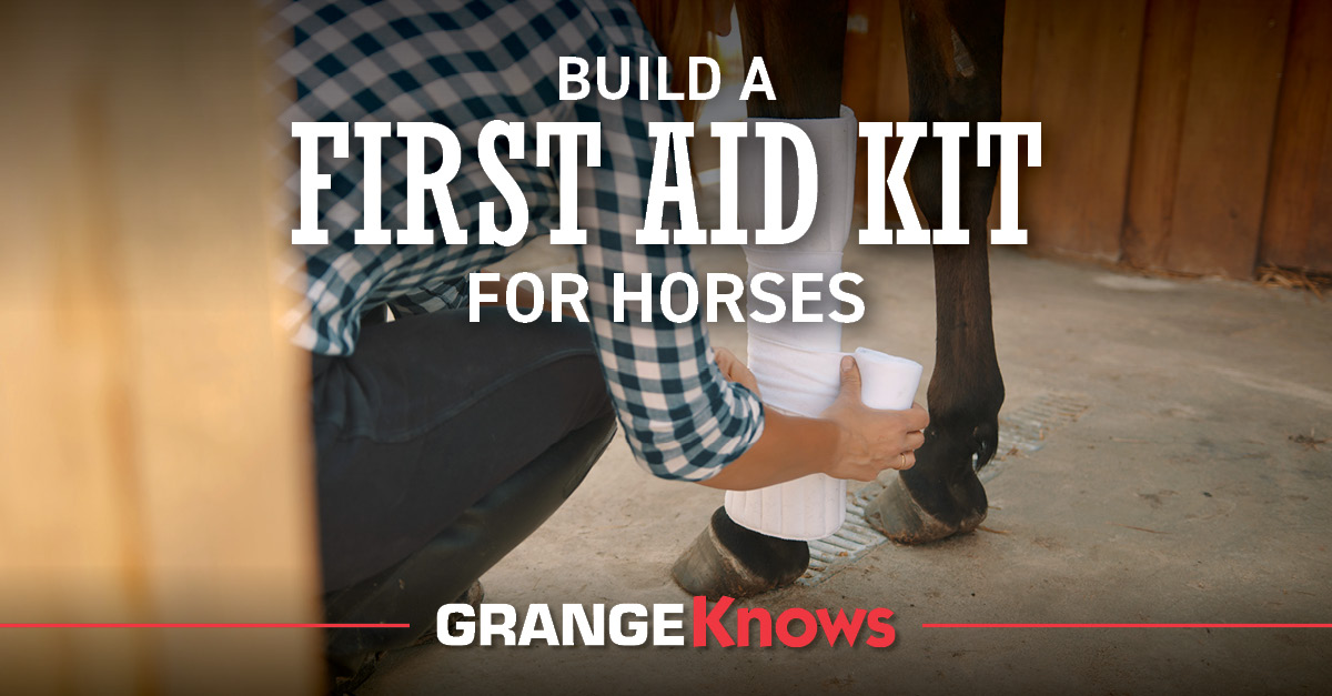 Build a First Aid Kit for Horses Grange Coop