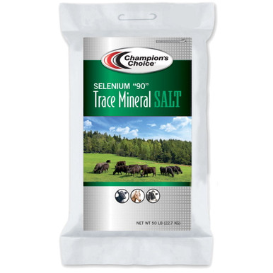 037f7f55-3918-4513-8728-