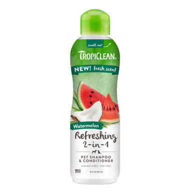テオン　teon Conditioner 2本& Shampoo 2本 te.on(テオン)シャンプー・コンディショナー発売のお知らせ | Balance