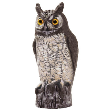 dc4df62d-177f-4af0-9cbf-